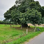 Niederrhein * Wesel (North Rhine-Westphalia)