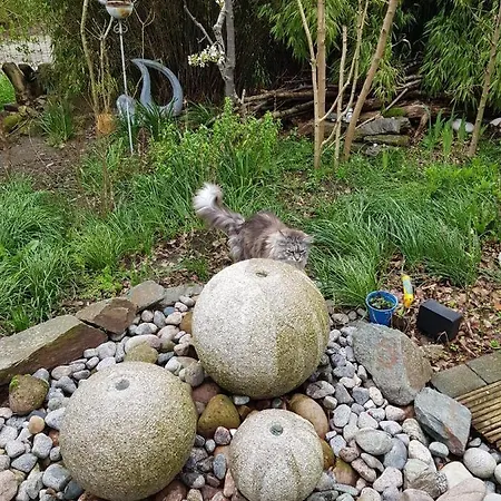 Niederrhein * Wesel (North Rhine-Westphalia)