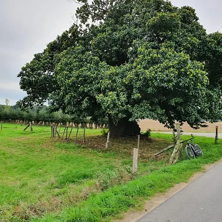 Niederrhein * Wesel (North Rhine-Westphalia)