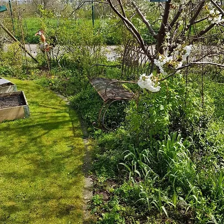 Apartment Niederrhein Wesel (North Rhine-Westphalia)