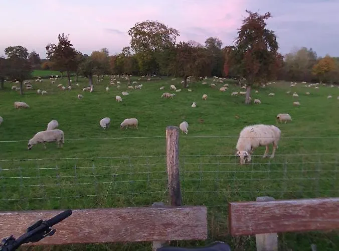 Niederrhein Appartement