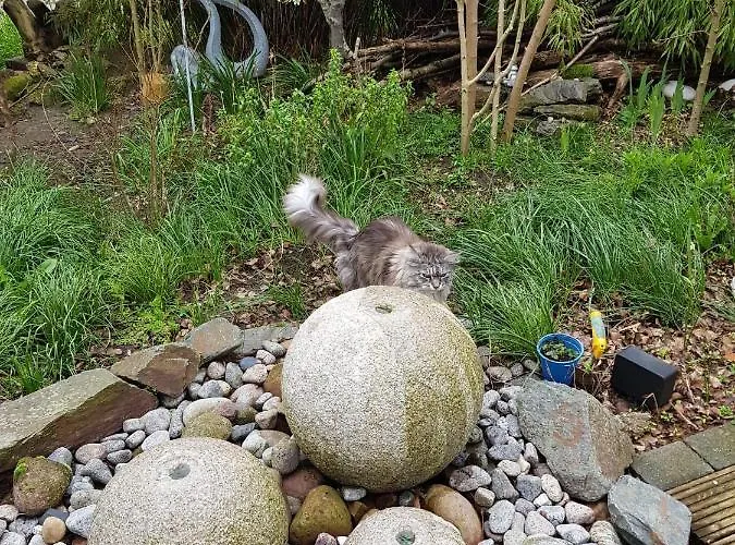 Niederrhein * Wesel (North Rhine-Westphalia)