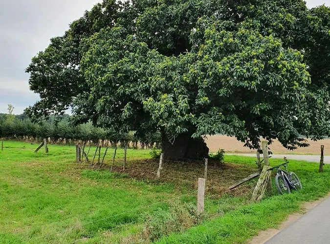 Niederrhein * Wesel (North Rhine-Westphalia)