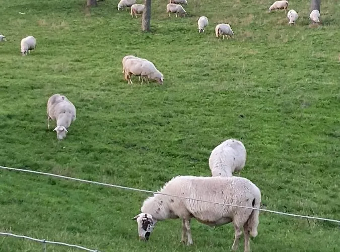 Apartment Niederrhein Wesel (North Rhine-Westphalia)