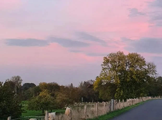 Appartement Niederrhein Wesel (North Rhine-Westphalia)